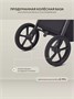Коляска 2 в 1 Rant Flex Soft Therm Gold black 1162183739