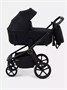 Коляска 2 в 1 Rant Flex Soft Therm Gold black 1162183739