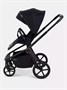 Коляска 2 в 1 Rant Flex Soft Therm Gold black 1162183739