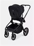 Коляска 2 в 1 Rant Flex Soft Therm Gold black 1162183739