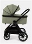 Коляска 2 в 1 Rant Basic Terra Olive 1862458321
