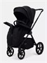 Коляска 2 в 1 Rant Teo Soft Black 789036931
