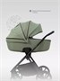 Коляска 2 в 1 Rant Teo Soft Olive 123151320