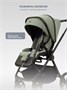 Коляска 2 в 1 Rant Teo Soft Olive 123151320