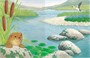 Чудо-наклейки. Кто живет в воде 1095983607
