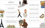 История моей жизни. Ван Гог 1854472594