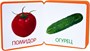 Мой первый словарик. Овощи (EVA) New 1286578439