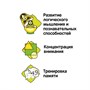 Обучающая настольная игра "ВЕСЕЛАЯ МИКРОБИОЛОГИЯ" Bondibon (арт. ВВ3502) 676576582