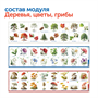 Природные богатства России (без робомыши, с системой хранения) Сенсориум MS0102 1852600705