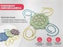 Доска-лабиринт АЛМА "Командная Нейровосьмёрка" 1122671605