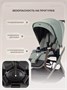 Коляска 2 в 1 Rant Aventa Olive 769037225