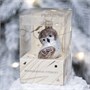 Елочное украшение "Совенок", мини серия "ВС", в подарочной упаковке, h-6 308158755
