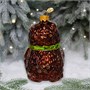 Ёлочное украшение "Совушка с гармошкой", в подарочной упаковке, h-11 см 1897366327