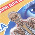 Тело человека, энциклопедия (с вставками из прозр. пленки) 230х300мм 10стр Умка в кор.20шт 9785506025238 (20)