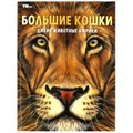Большие кошки. Дикие животные Африки. Энциклопедия. 197х255 мм. 7БЦ. 48 стр. Умка в кор.15шт 978-5-506-07164-8