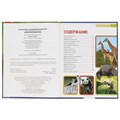 Необычные животные. (Энциклопедия А4 с развивающими заданиями). 197х255мм. 48 стр. Умка в кор.15шт 978-5-506-03892-4