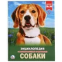 Собаки. (Энциклопедия А4 с развивающими заданиями). Формат: 197х255 мм. 48 стр. Умка в кор.15шт 978-5-506-02336-4