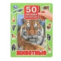 Животные. 50 окошек для малышей. 200х260 мм. 10 картонных страниц. Умка в кор.20шт 978-5-506-09936-9