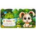 Зайка и его друзья. Дружинина М. В. Книжка с глазками. 120х130 мм. ЦК. 8 стр. Умка в кор.100шт 978-5-506-09141-7