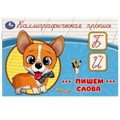 Пишем слова. Каллиграфическая пропись. 205х140 мм. Скрепка. 16 стр. Умка в кор.50шт 978-5-506-09272-8