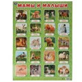 Мамы и малыши. Плакат А2. Умка 978-5-506-05562-4