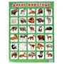 Дикие животные. Плакат А2. Умка 978-5-506-05735-2