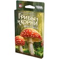 Грибы и корни: Шёпот леса 1985808074