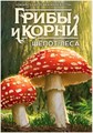 Грибы и корни: Шёпот леса 1985808074