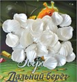 Эверделл: Дальний берег. Забытые клады 1955364292