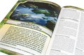 Starfinder. Серия приключений "Наперекор Вечному трону", выпуск №1: "Длинная рука Империи" 1834578869