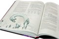 Dungeons & Dragons. Руководство мастера подземелий 738915208