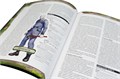 Starfinder. Серия приключений "Наперекор Вечному трону", выпуск №3: "Захват рунного двигателя" 930675335