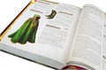 Pathfinder. Настольная ролевая игра. Основная книга правил. Вторая редакция 1305694057