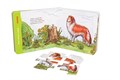 Книжка-игрушка Какие бывают собаки? (Мир вокруг нас) # 93275